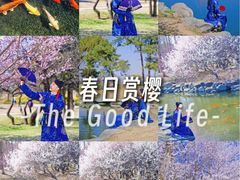 -圆明园遗址公园-藻园门售票处