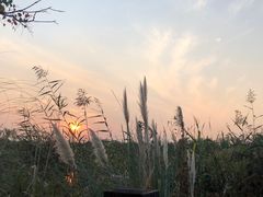 -品渔味湖鲜馆(拈花湾店)