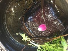 -绿茶餐厅(燕郊永旺店)