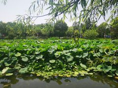 -美兰湖景区