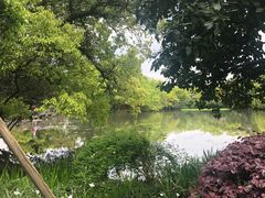 -西湖外事游船(花港观鱼码头)