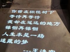 -纳瓦新疆菜(银都店)