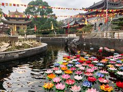 -上海东林寺(金山区)