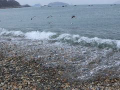 -银沙滩浴场