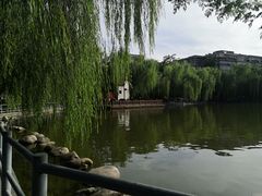 -莲湖公园