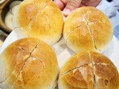 山東大包-鹿鸣春