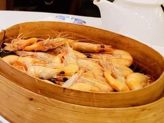 白灼蝦-海天花园酒家