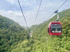-栾川竹海野生动物园