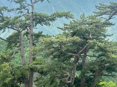 -圣莲山风景区