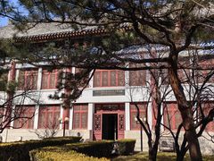 -北京大学赛克勒考古与艺术博物馆