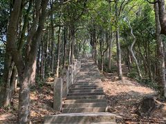 -梧桐山风景名胜区