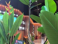 -云海肴·汽锅鸡·云南菜(天山百盛优客店)