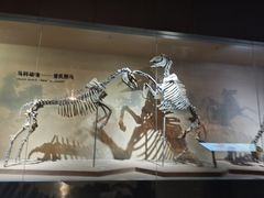 -大庆市博物馆