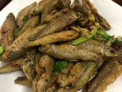 -品雅轩农家乐