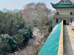 -武汉大学-樱园