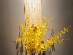 -觀芷隐轩