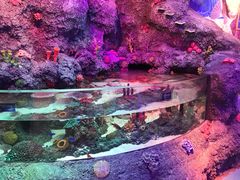 -沈阳海洋探索中心