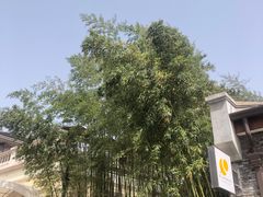 -迪士尼小镇
