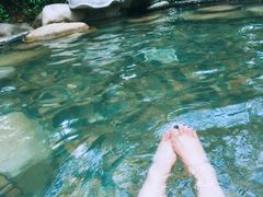 -天目湖涵田半山温泉