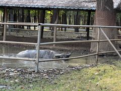 -秦皇岛野生动物园