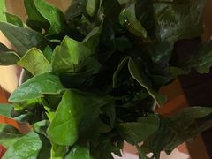 -老版火锅(半坡店)