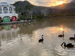 -大梅沙海滨公园