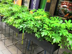 -Wagas沃歌斯(大学路店)