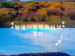 -御道口草原森林风景区