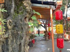 -陶缘一号·四季缘·老字号顺德菜·户外婚礼家宴(西滘店)