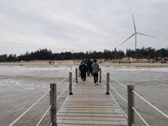-汕尾风车岛