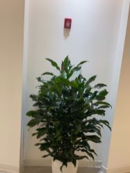 -天津伊美尔医疗整形美容专科医院