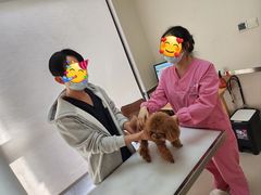 -爱妮康宠物医院·干细胞免疫细胞·肿瘤·心脏(张江店)