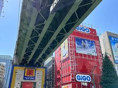 -秋叶原电器街