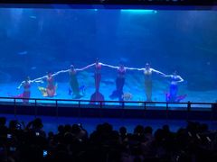 -泉城欧乐堡海洋极地世界