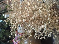 -MIKAKU(万达广场上海宝山店)