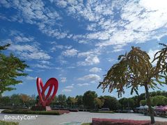 -南京信息职业技术学院
