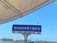 -海驴岛(荣成市)