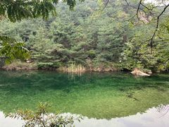 -无染寺