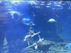 -多彩贵州城极地海洋世界