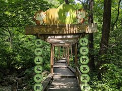 -大岭沟猕猴桃谷风景区