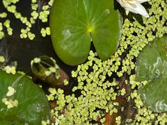 -张掖大佛寺景区