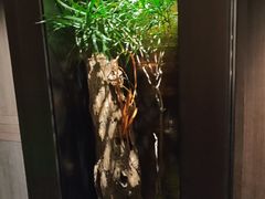 -虹之森·小馆