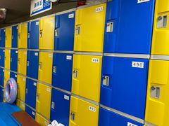 -重庆市奥林匹克体育中心-游泳跳水馆