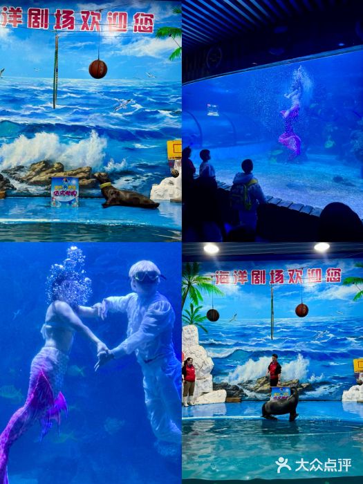 左海海底世界图片