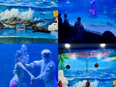 -左海海底世界