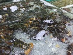 -渔傅·蓝海岸霞浦海鲜(正祥店)
