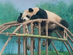-杭州动物园