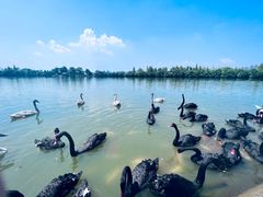-艾溪湖湿地公园