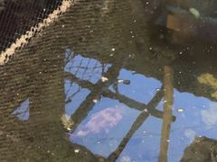 -蓝湾碧波·老字号·疍家非遗海上餐厅