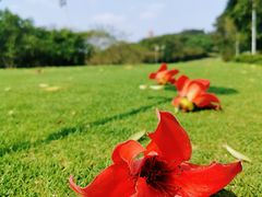 -麓湖高尔夫球俱乐部